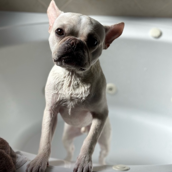 Meet your Posher, Beth - Picture 3 of 11